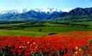 Kyrgyzstan - 20 giorni