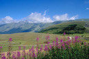 Abruzzo: tra sapori, storia e valori della 