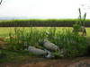 Swaziland