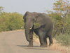 Swaziland