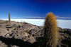 Bolivia - Il Salar