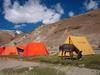 India - Ladakh