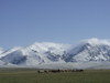 Kyrgyzstan - foto nostri corrispondenti locali