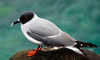 Ecuador - Galapagos