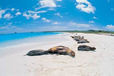 Ecuador Amazzonia e Galapagos