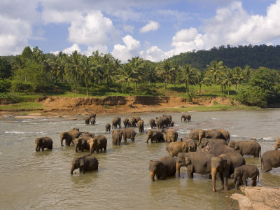 Sri Lanka