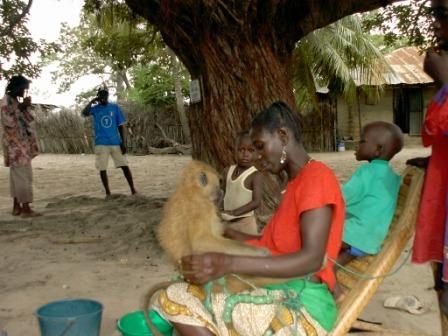 Senegal