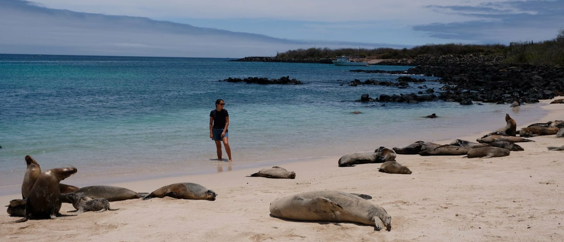 Ecuador Amazzonia e Galapagos