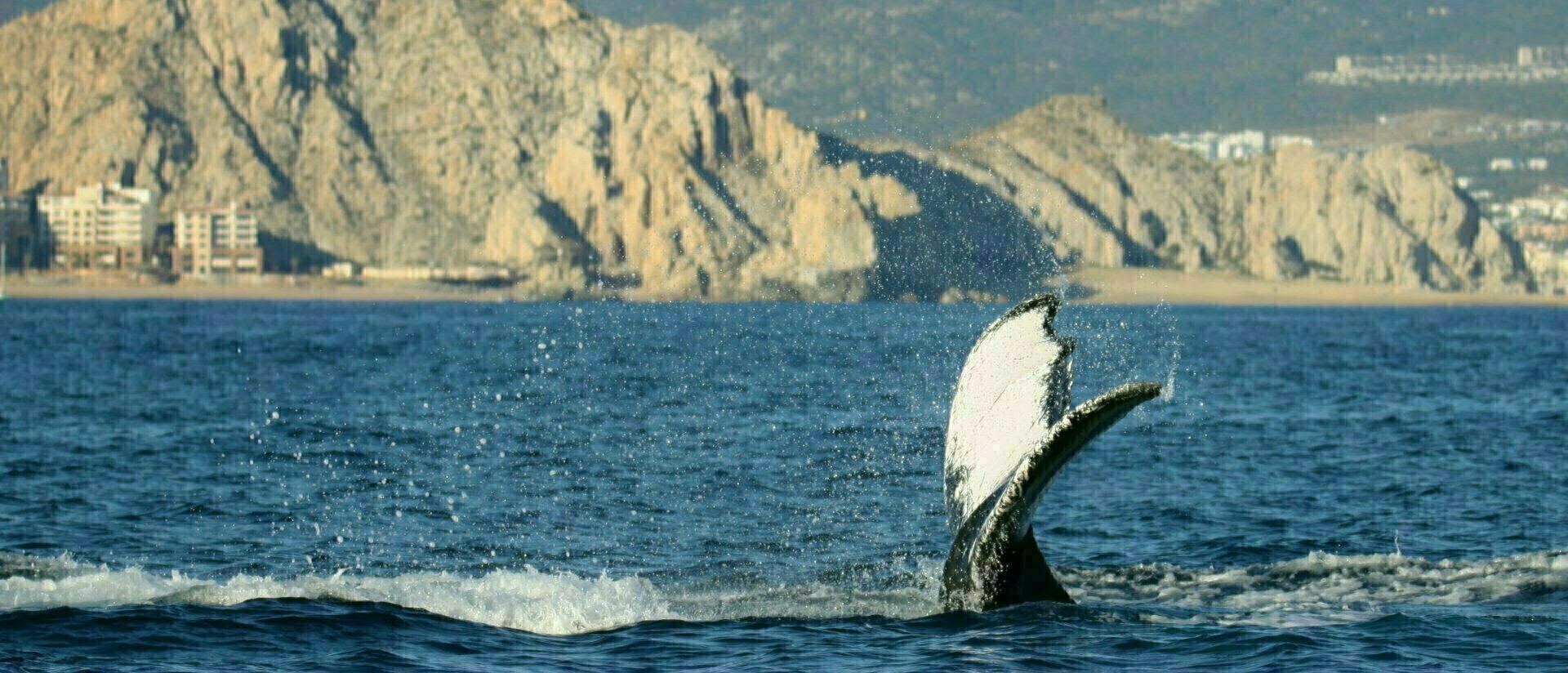 Messico - Baja California