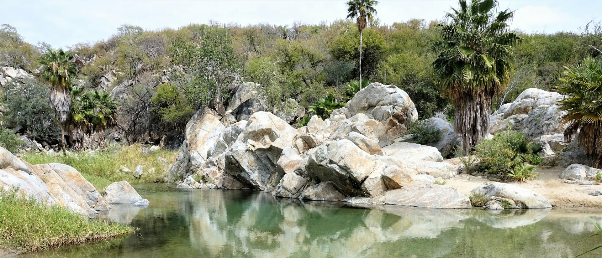 Messico - Baja California