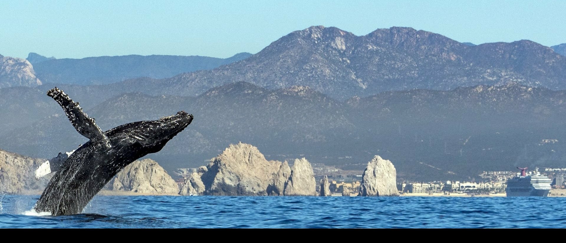 Messico - Baja California