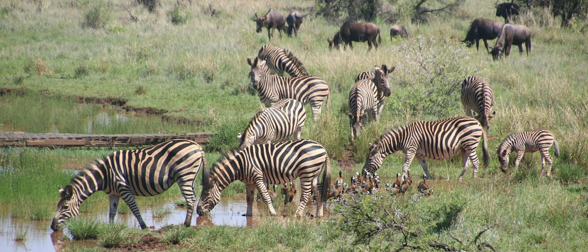 Tanzania del Nord