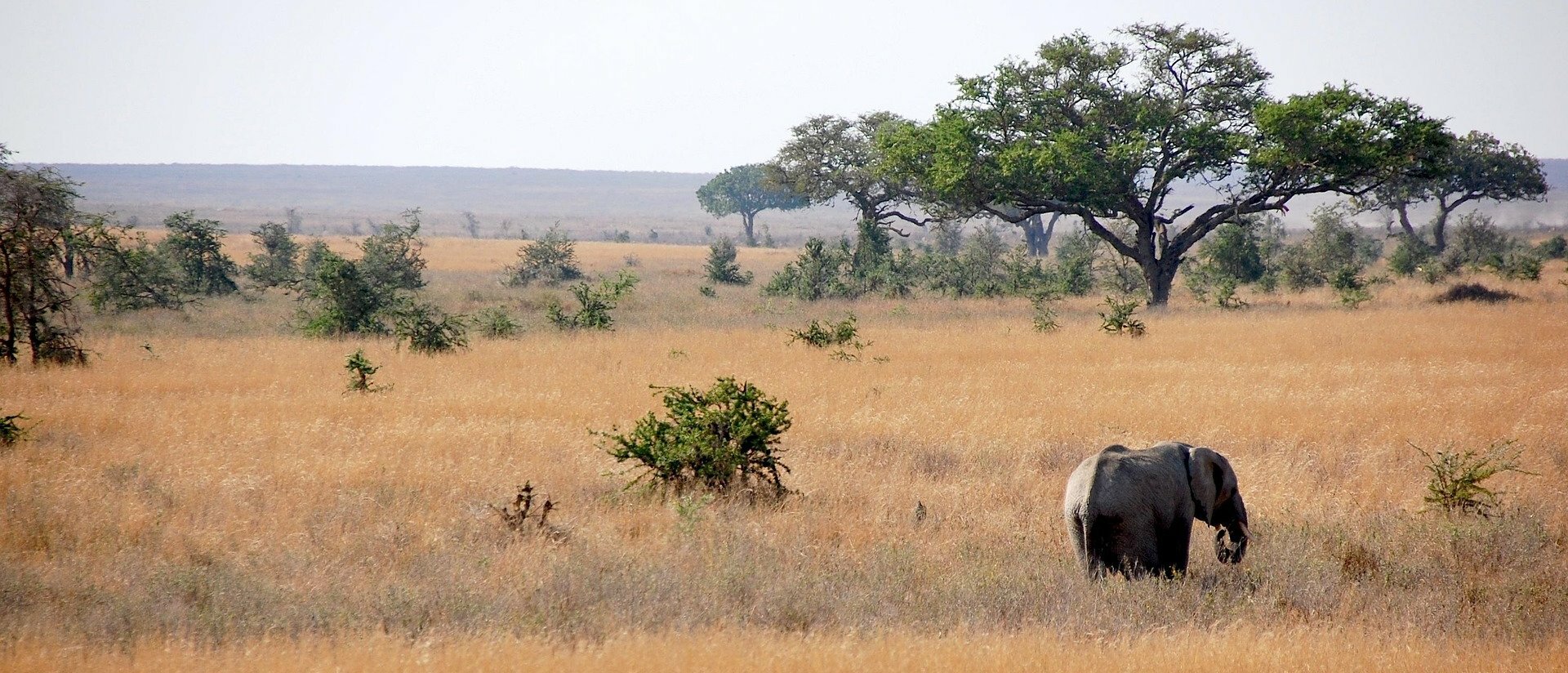 Tanzania del Nord