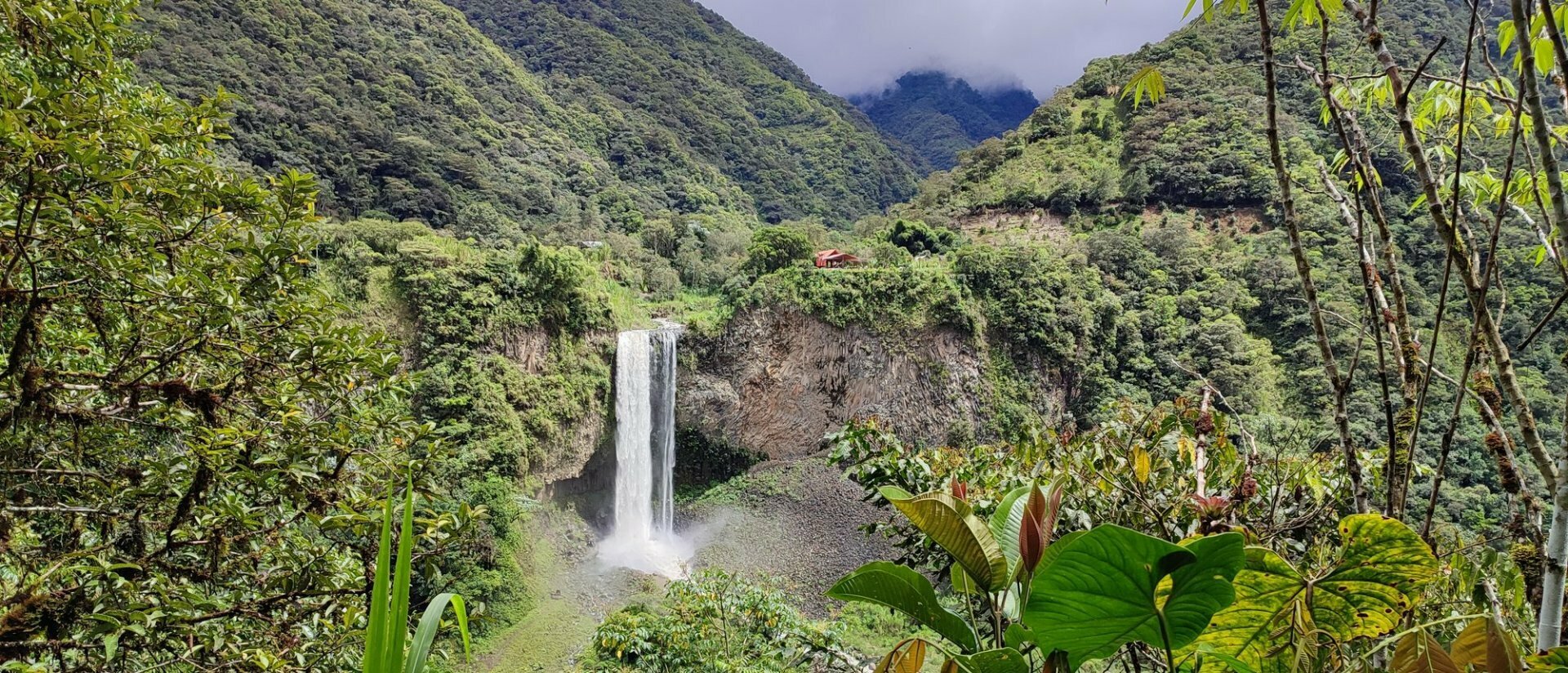 Ecuador Amazzonia e Galapagos